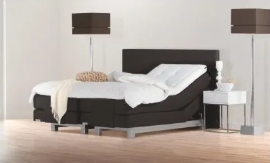 Original elektro 401