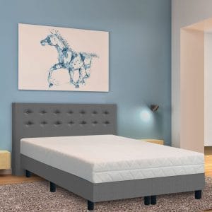 Capella Falco 500 v/m